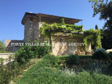  : Single villa For rent and for sale  Punta Ala