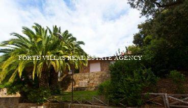  : Single villa For rent and for sale  Punta Ala