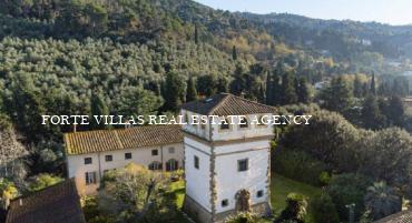 An important real estate complex located in Tuscany, in Versilia, in the Municipality of Camaiore, consisting of a large manor house of historical interest, a tower, various houses and buildings, former religious buildings and agricultural land.